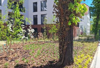 Apartament cu 3 camere în Central - 9