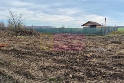 Teren aproape de Bucuresti langa padure între case - 17
