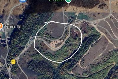 Teren intravilan in Salicea la 10 Km de Cluj Napoca, zona deosebita si linistita - 2