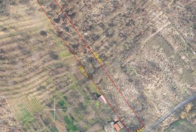 Teren de 3953 mp, în Podgoria