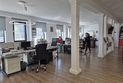 DE VANZARE HALĂ CU BIROURI DE LUX ȘI ANEXĂ REZIDENȚIALĂ | PANTELIMON DE VANZARE HALĂ CU BIROURI DE LUX ȘI ANEXĂ REZIDENȚIALĂ | PANTELIMON - 16