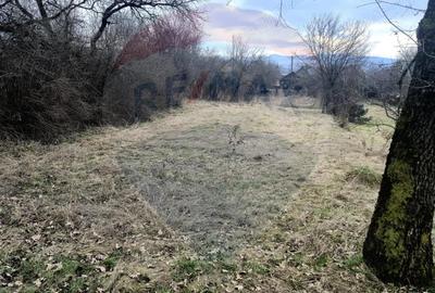 Casă cu 3 camere cu Teren 2821 Mp în Câmpulung la Tisa - 1