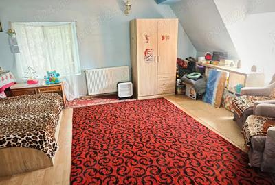 Vanzare casa si teren - 3