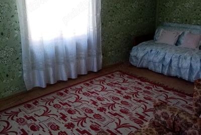 Vand 2 case si gradina - 8