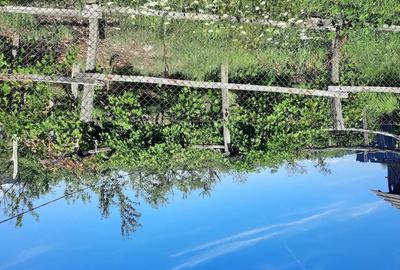 Casă cu 2 camere cu Teren 30 Mp în Târgu Logrești - 4
