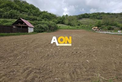 Teren Construcții intravilan de 2742 mp, în Vințu de Jos