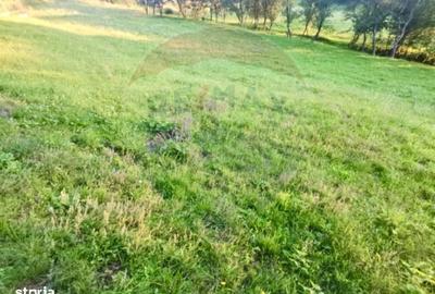 Spațiu comercial, în Breb - 3