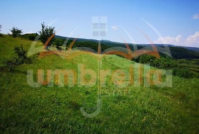 Teren de vanzare in Zona Gheorgheni 7.200 mp - 2