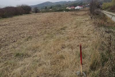 Spațiu comercial, în Copăcelu - 4