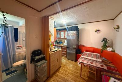 Apartament cu 3 camere decomandat în Gojdu - 5