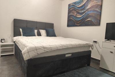 Garsonieră decomandată în Centrul Civic