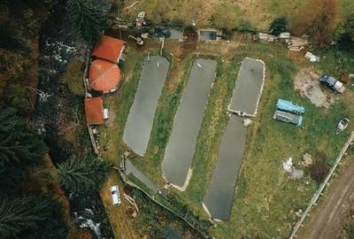 Teren de 3000 mp, în Lunca - 4