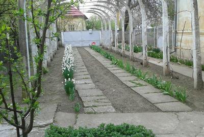 Casă cu 5 camere cu Teren 1800 Mp în Vădastra - 1