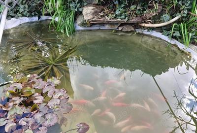 Casă cu 4 camere cu Teren 588 Mp în 3 Insule - 4