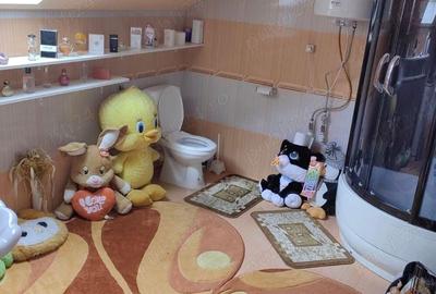 Cabana de lemn in zona turistica Bihor - 4