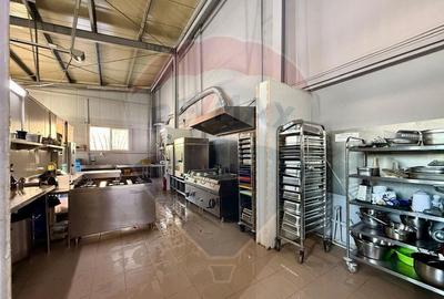 Oferta de inchiriat spa?iu industrial 110 mp, Bra?ov, ... - 10