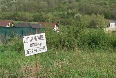 Spațiu comercial, în Săldăbagiu de Munte - 5