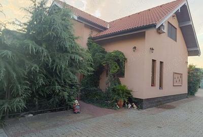 Vand Casa cu Service Auto Hala depozitare in Utvin - 5