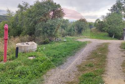 Teren de 3082 mp, în Damiș - 8