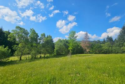 TEREN DE VANZARE APROAPE DE PADURE - 15