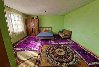 Casă cu 2 camere cu Teren 9100 Mp în Central - 4