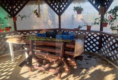 Casa-VILA deosebita ,mobilata plus toate facilitatile - 11