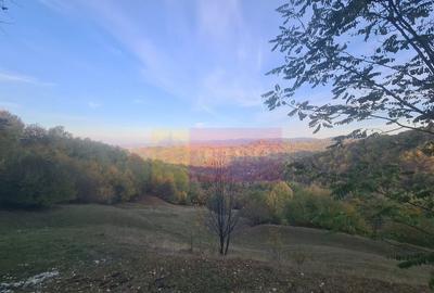 Teren intravilan de vanzare in Telega - 3