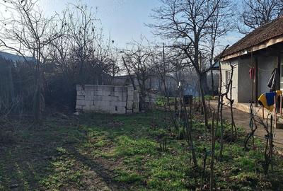 Refugiu la ?ara, aproape de Bucure?ti casa tradi?ionala cu teren 3.113 mp - 5