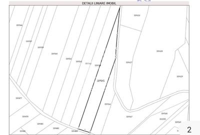 Teren Cuied, Livada 5400 mp - 1