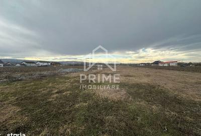 Spațiu comercial, în Partoș