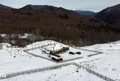 Casă cu 5 camere cu Teren 2000 Mp în Nucșoara - 2