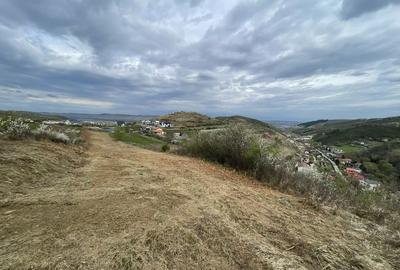 Teren de 2200 mp, în Tăuți - 1