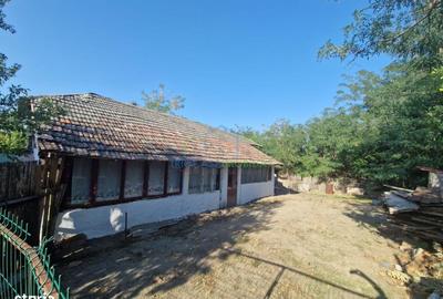 Casă cu 3 camere cu Teren 664 Mp în Gângiova - 1