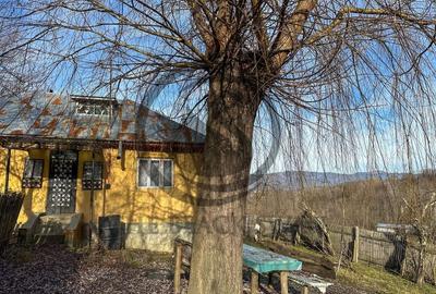 Casa de vanzare | Catunu, Drajna | 1360mp teren | Comision 0% - 12