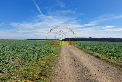 Teren intravilan Branesti 27000 mp km 12 Autostrada A2 - 2