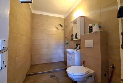 DOUA CASE DE VANZARE - ZONA  RACADAU - SINGUR IN CURTE - 17