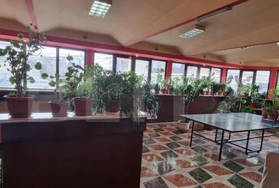 Casă cu 7 camere cu Teren 550 Mp în Cetate - 5