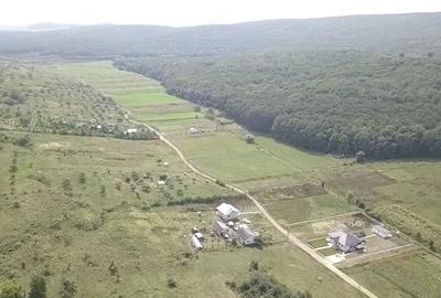 Teren de 2700 mp, în Curtești - 2