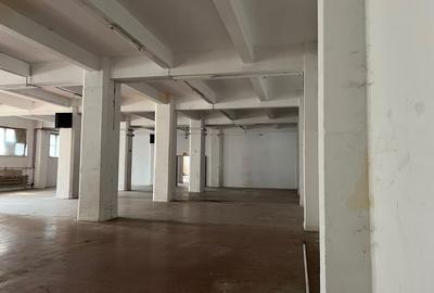 Spatiu depozitare si productie Cotroceni - 6