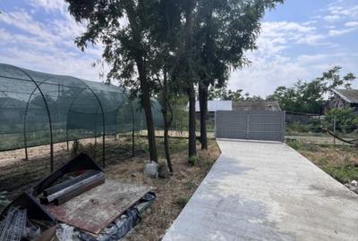 Casa de vacanta - Munteni Buzau - Jutetul Ialomita - Curte 2000mp - 4