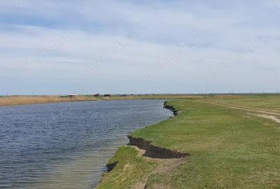 Vand casa la tara - 4