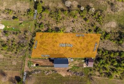 STEFANESTII DE JOS - SOS STEFANESTI,TEREN 2987 MP,STB 4 MIN,DESCHIDERE 36 ML - 6