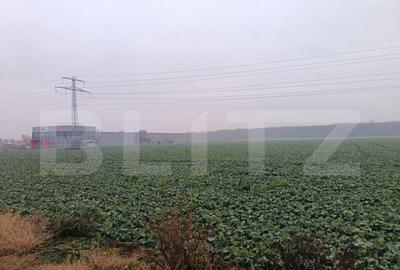 Teren de 15000 mp, în Păulești