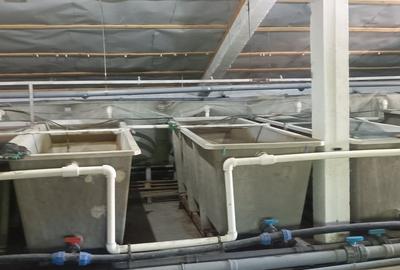 Casă cu 10 camere cu Teren 28000 Mp în Central - 3