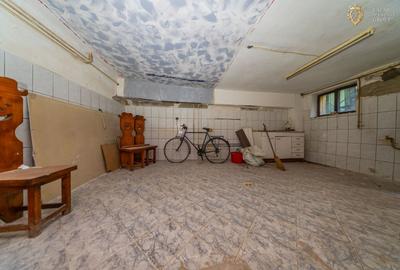 Proprietate speciala cu potential in inima Aradului - 21