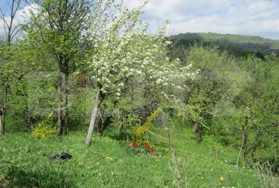 Teren în Central - 3