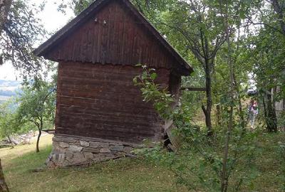 Casă cu Teren 9000 Mp în Poiana Vadului - 1