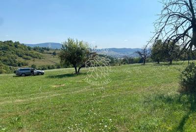 Teren agricol extravilan de 11000 mp, în Unirea - 4