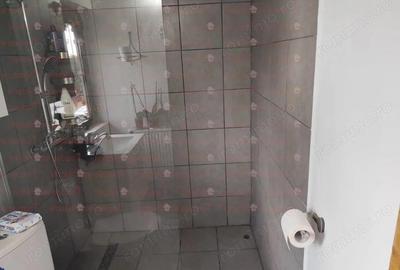 Casa P+1 400 mp teren Godeanu Carrefour Colosseum Casa P+1 400 mp teren Godeanu Carrefour Colosseum - 19