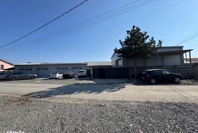 Spațiu comercial, de 966 mp, în Sânmihaiu Român - 3